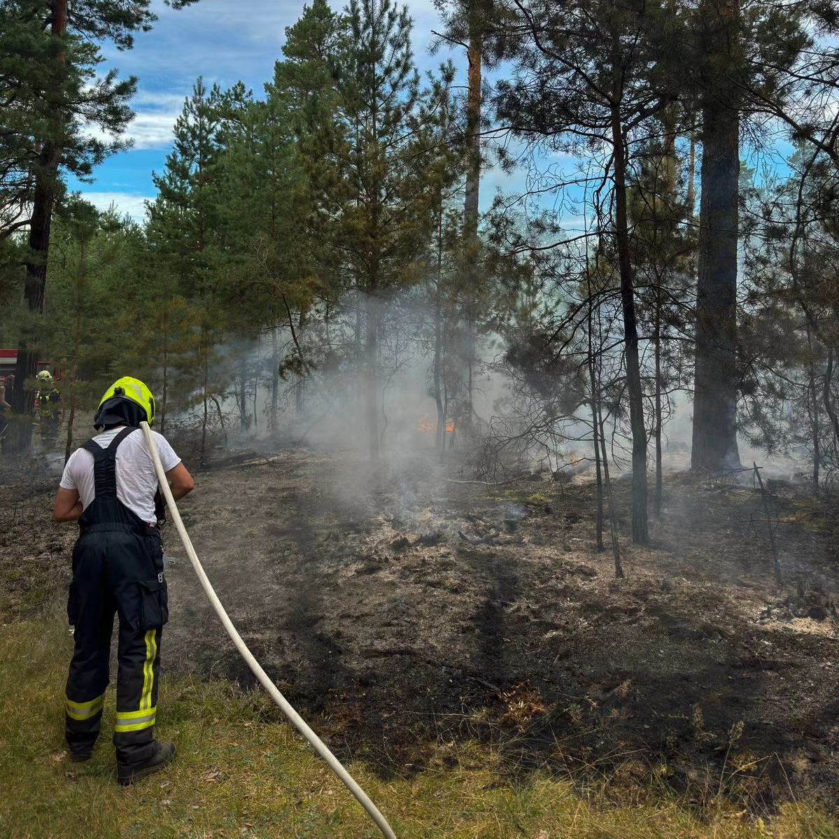 53 - Waldbrand Groß