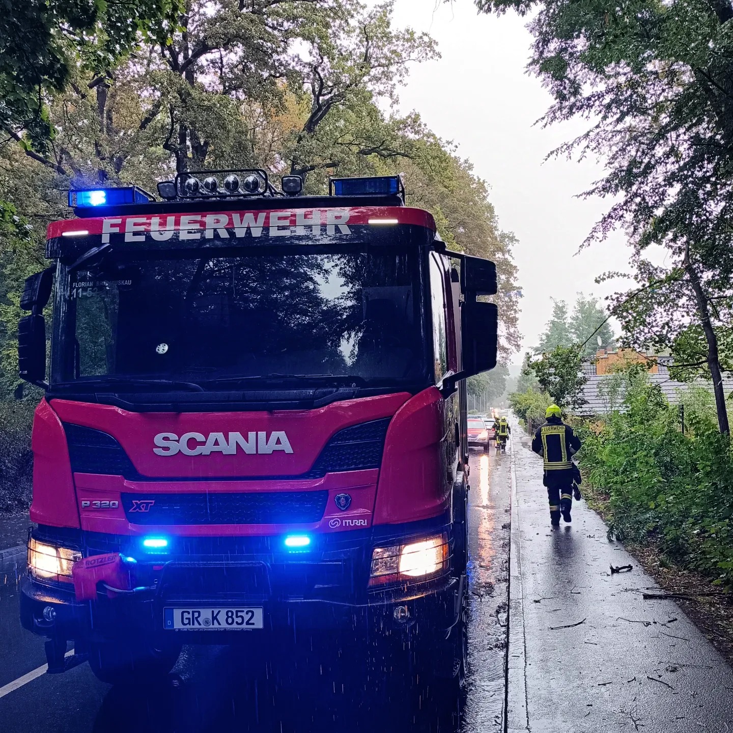 60 - H1 Baum auf Straße