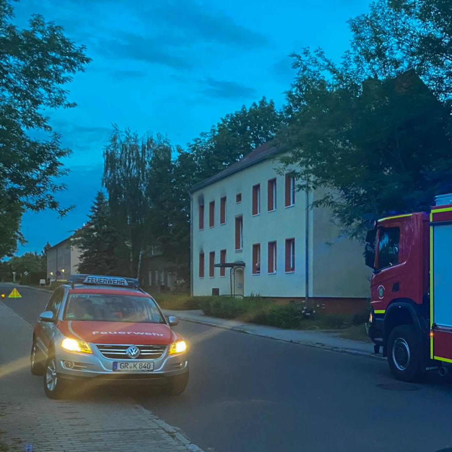 29 - H1 Baum auf Straße